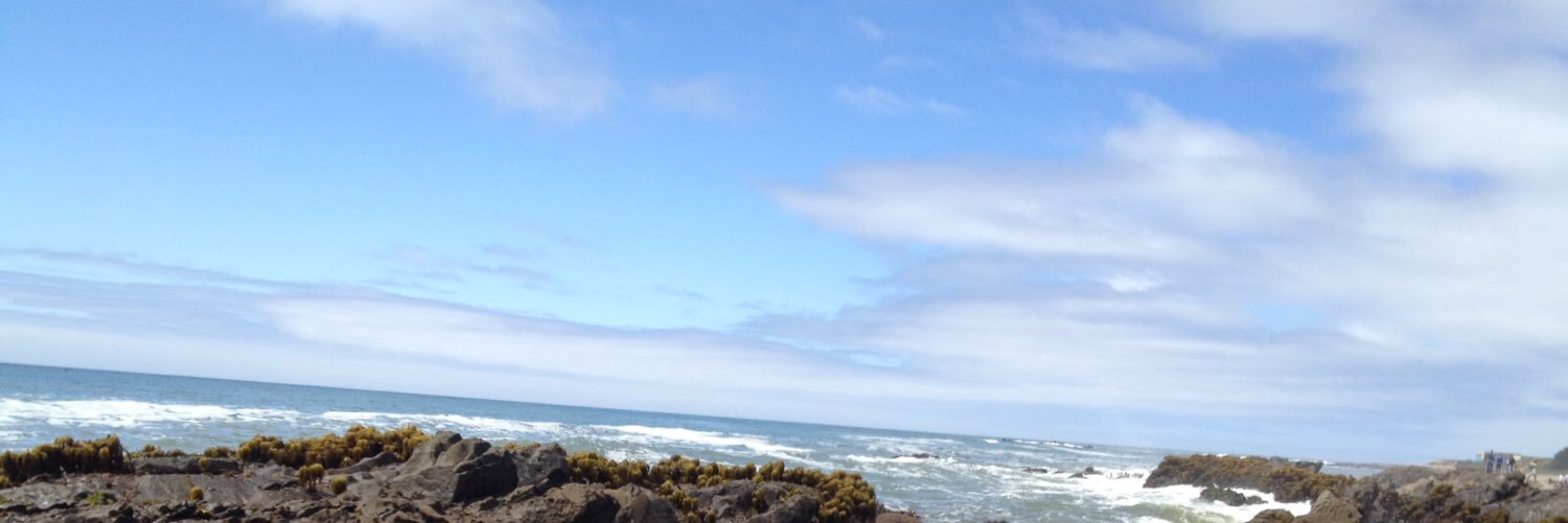 WendyGradek's profile banner image