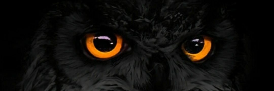 solah422's profile banner image