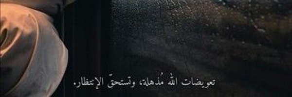 Furiosi08 Profile Banner