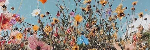 noira_a's profile banner image