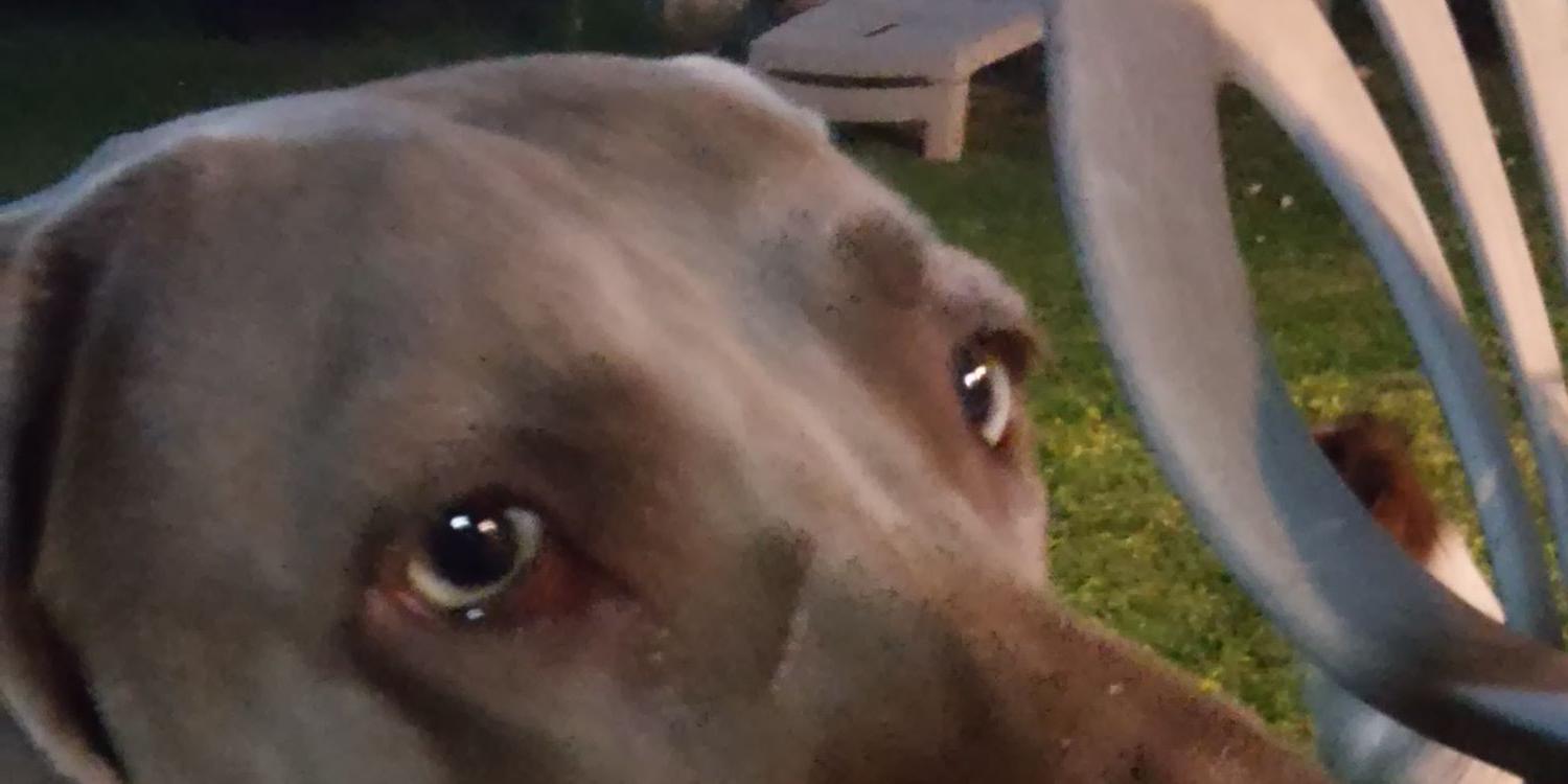 CaroGende's profile banner image