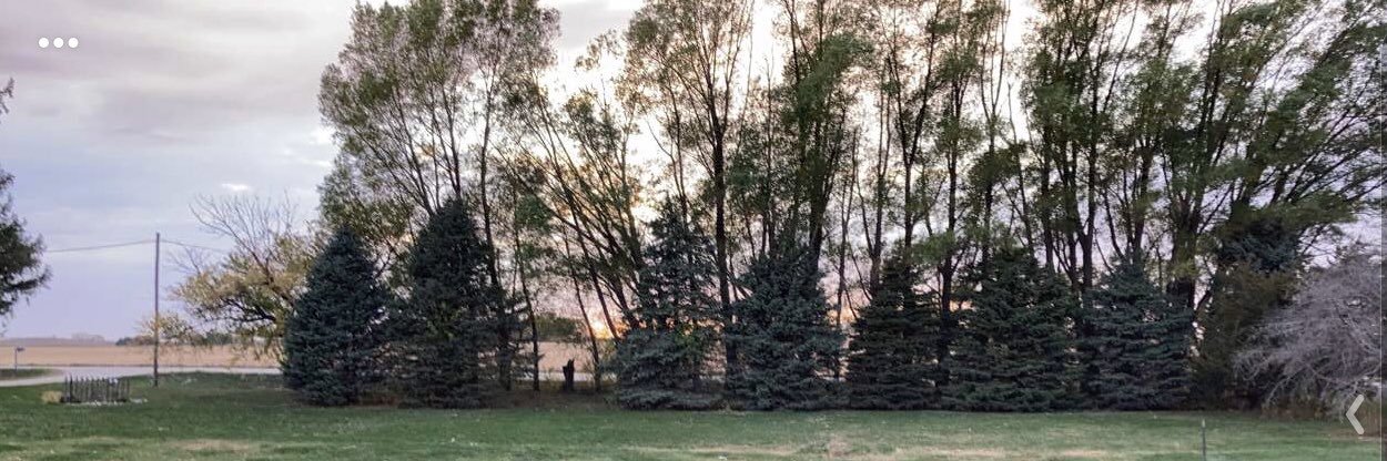 Coppermama88's profile banner image