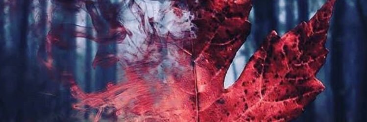 Musabyhan's profile banner image