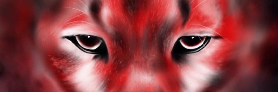uhcougar2's profile banner image