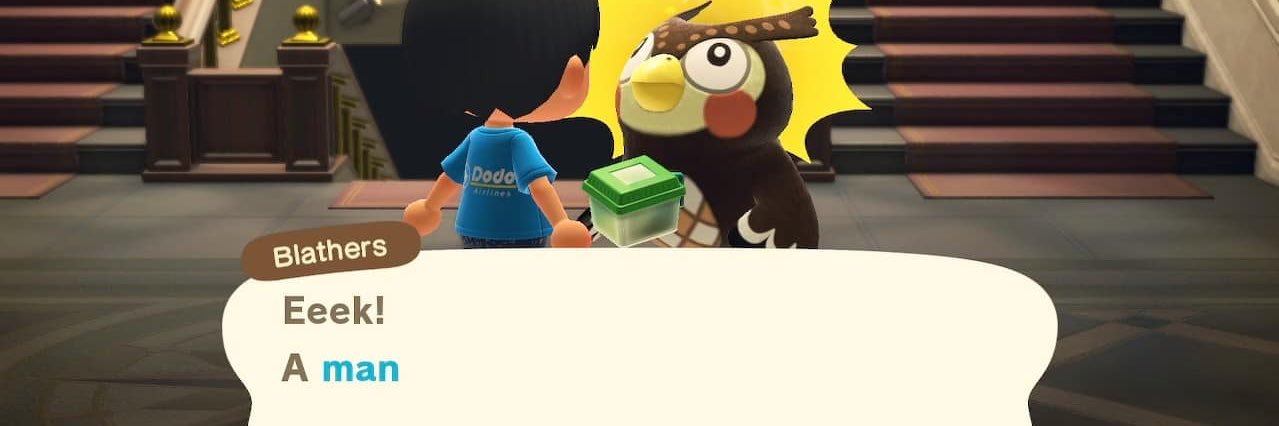 nattesp's profile banner image