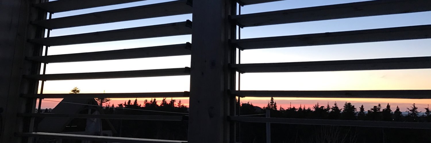 ginataylor11's profile banner image