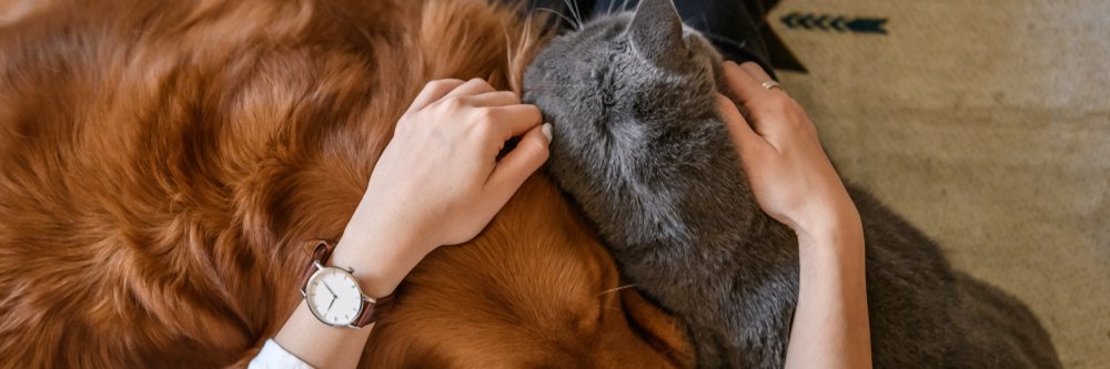 MetLife Pet Insurance banner