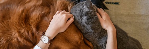 MetLife_Pet Profile Banner