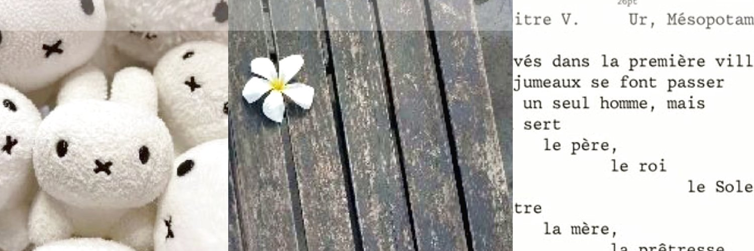 ` banner