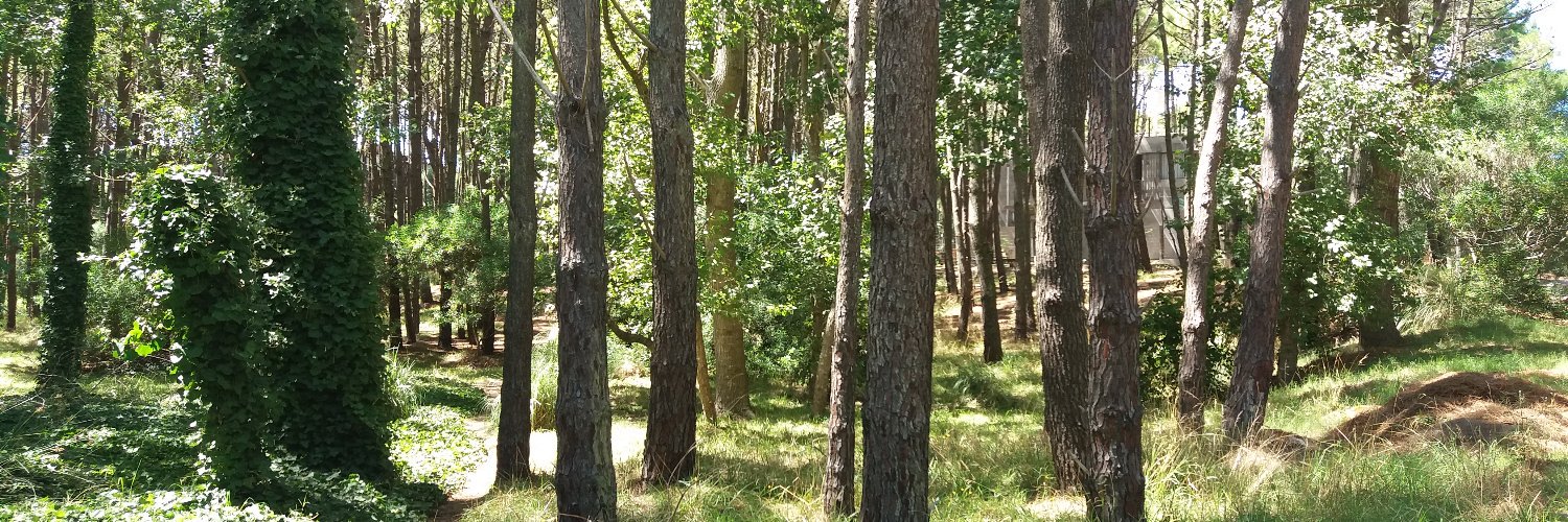 pablogrod's profile banner image