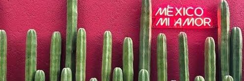 albllv's profile banner image