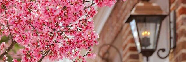 جواهر ؏ــبدﷲ ♛ banner