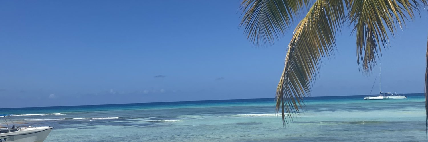 Shirley3124's profile banner image