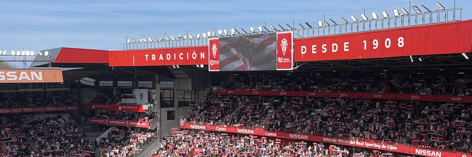 Bea Fernández banner