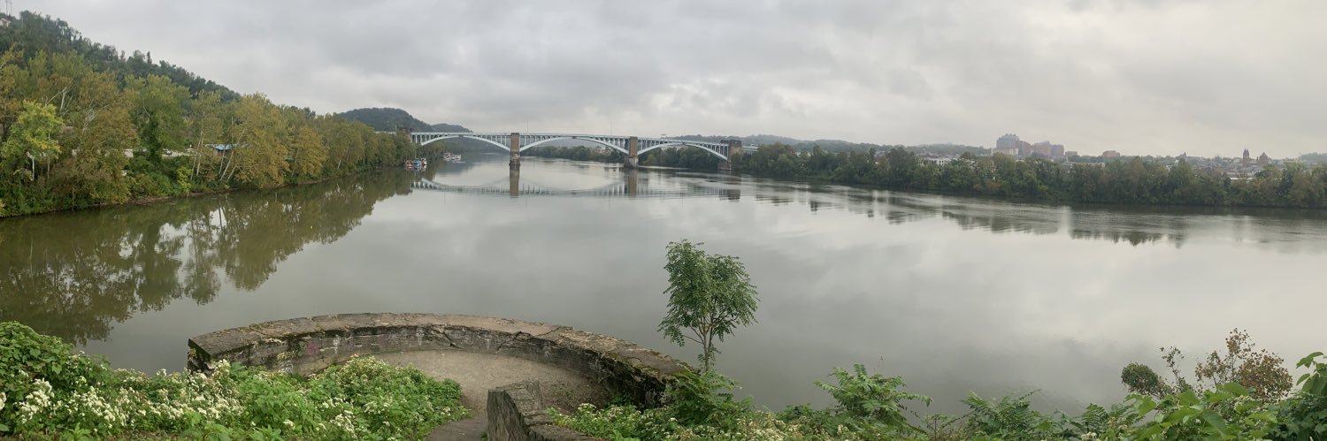 Polly Higgins banner