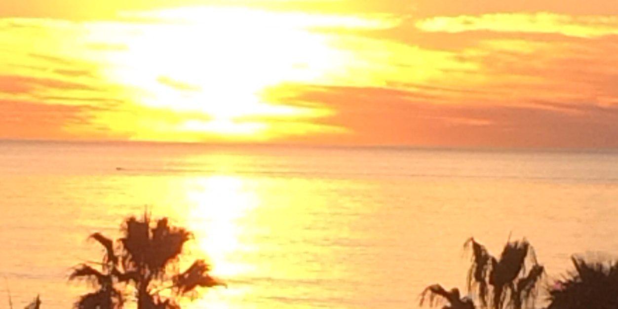 cara riggs banner
