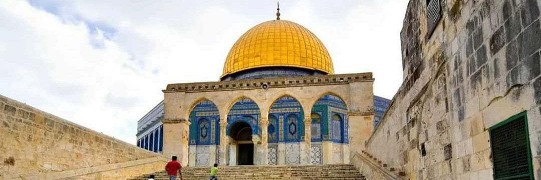 Abdelrahman Basheer 🇵🇸's banner
