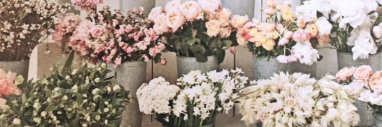 Jenna_Shay's profile banner image