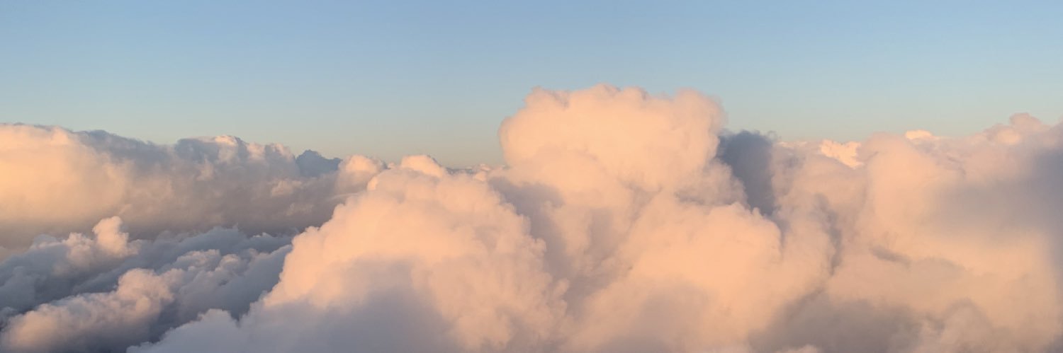 SydneyScheel's profile banner image