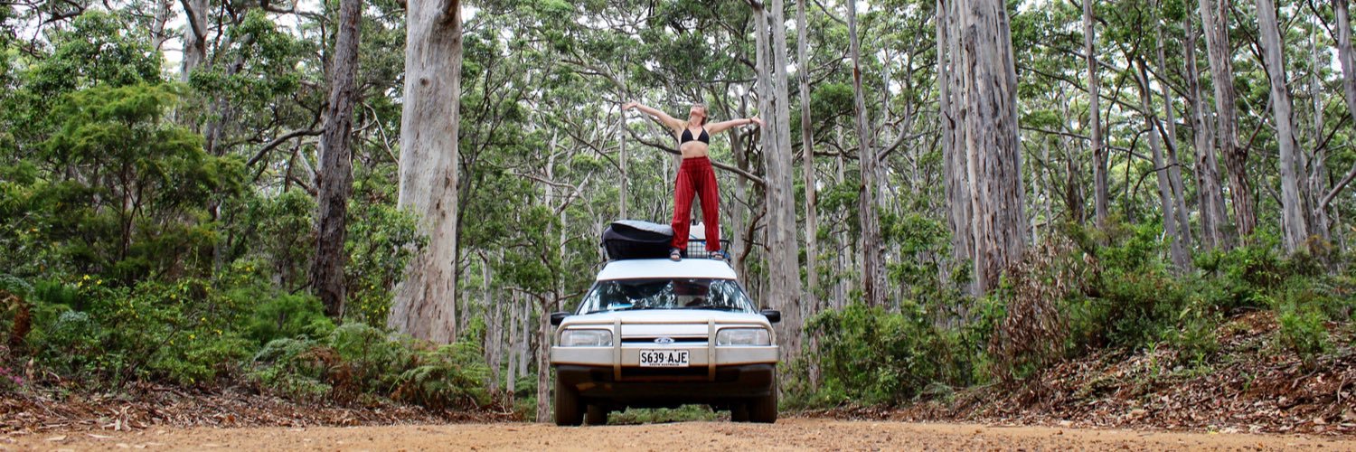 amy_stenner's profile banner image