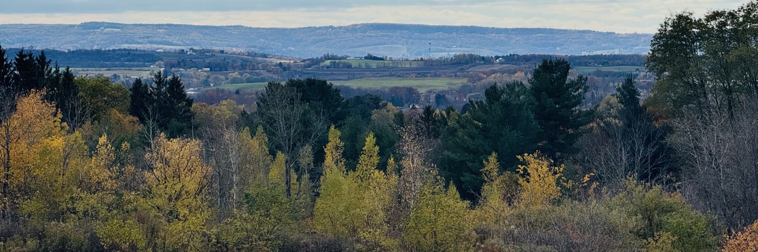 Jayson Frascatore banner