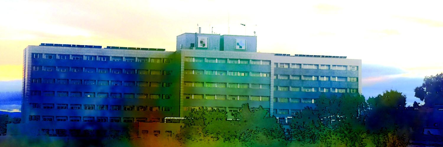 Belén Tristán banner