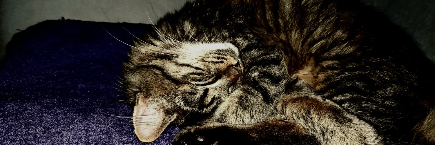 davrieb's profile banner image