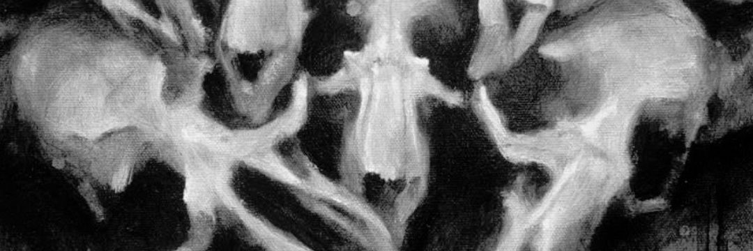 Creecher00's profile banner image