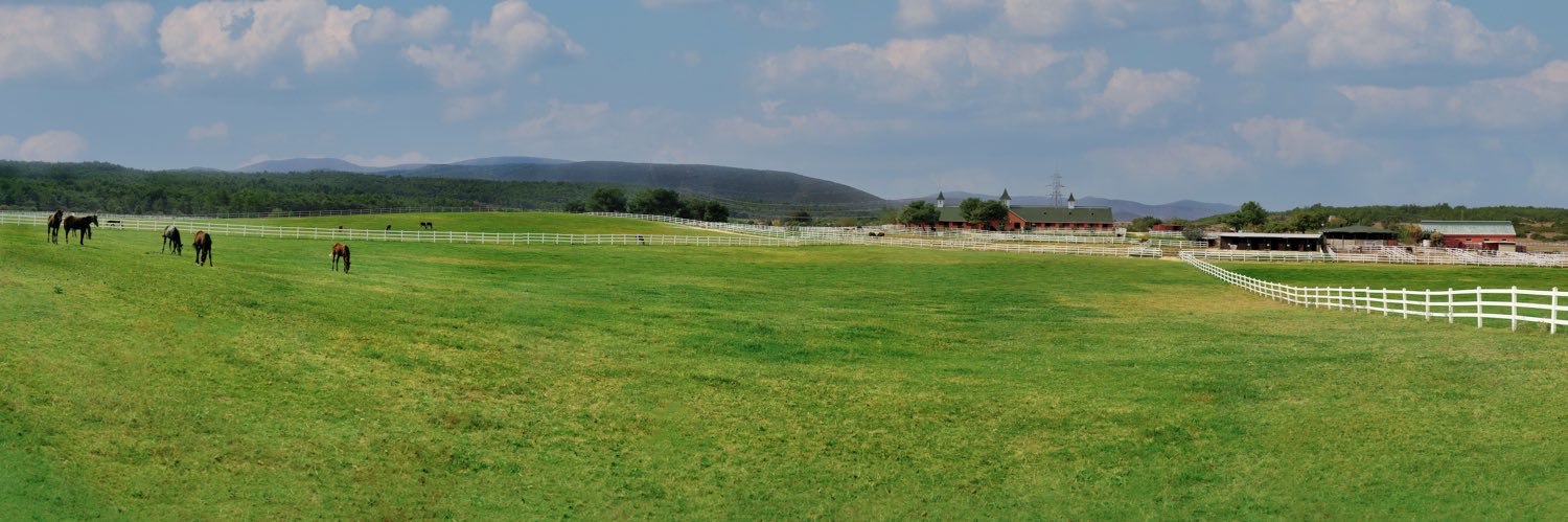 dnzkrbulut's profile banner image