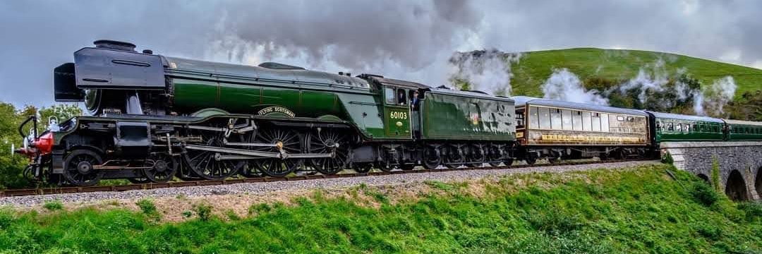 Robert H (who/what) banner