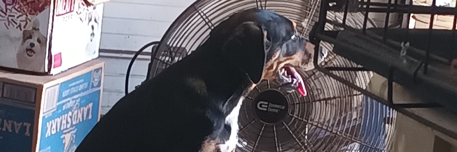 RJRomano1's profile banner image