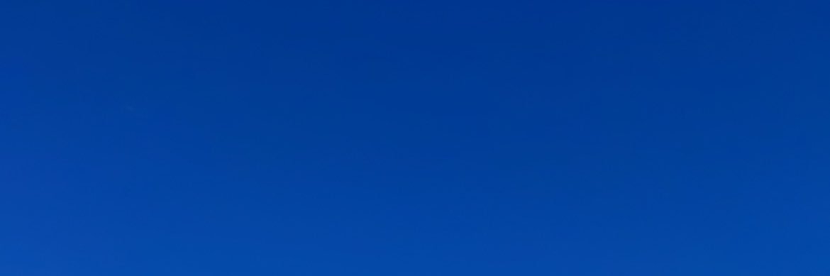 apes banner