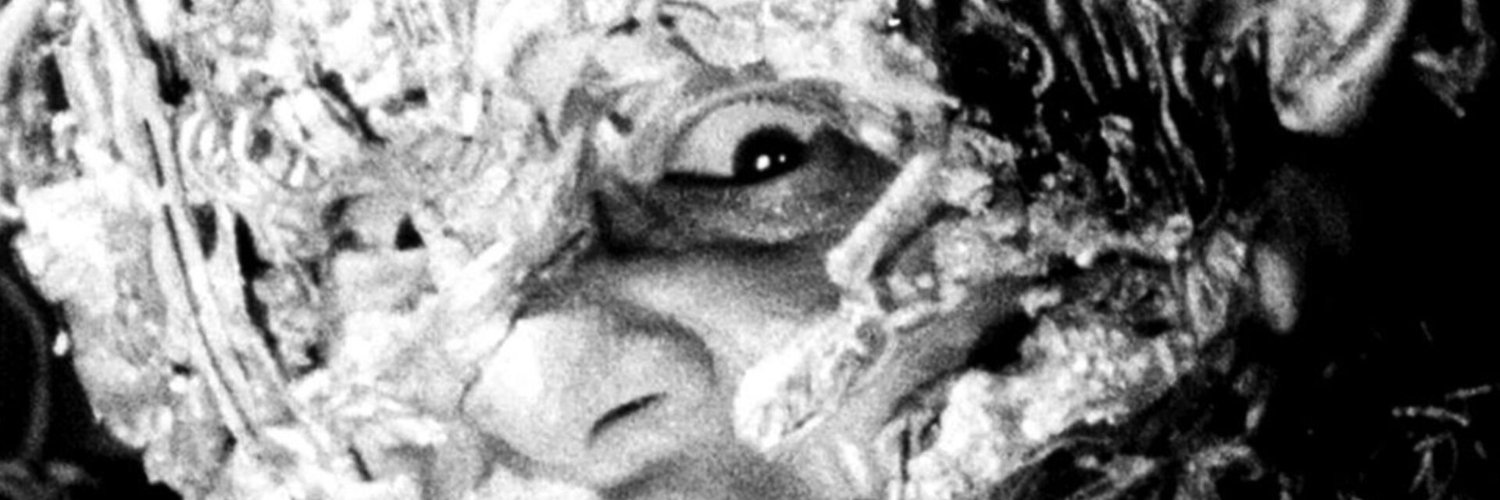 acaiuser's profile banner image
