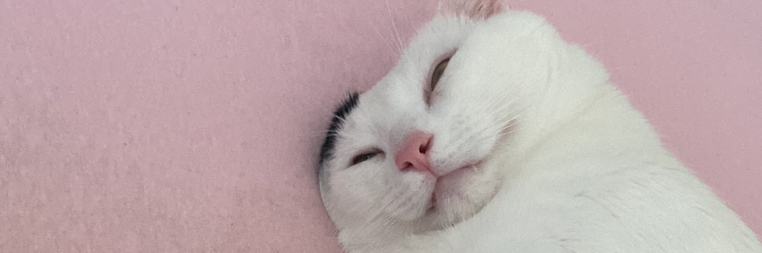 LauraMingottii's profile banner image
