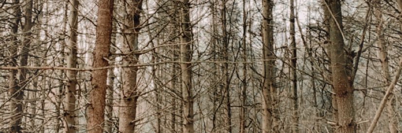 BEClynnZEC's profile banner image