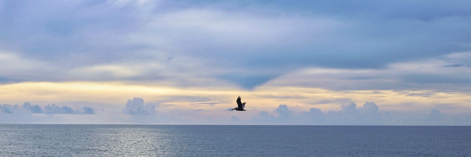 DelPuertoCesar's profile banner image