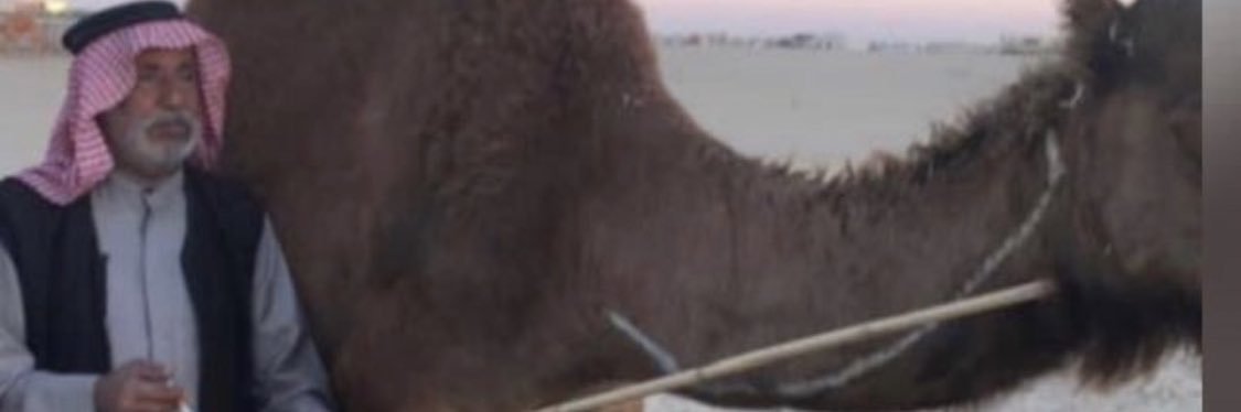 hmoudalshareef's profile banner image