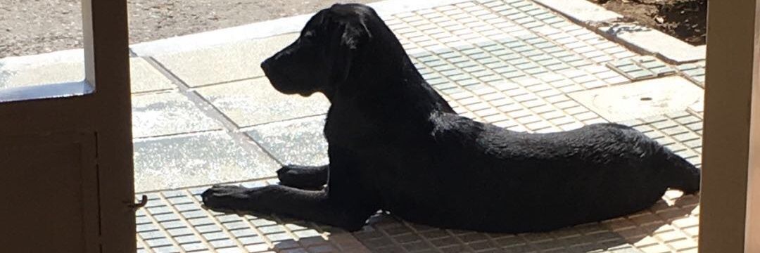 AlmuMillanO's profile banner image