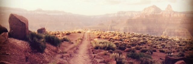 WalkersAndCanes's profile banner image