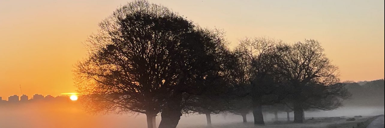 Elle Ryan banner