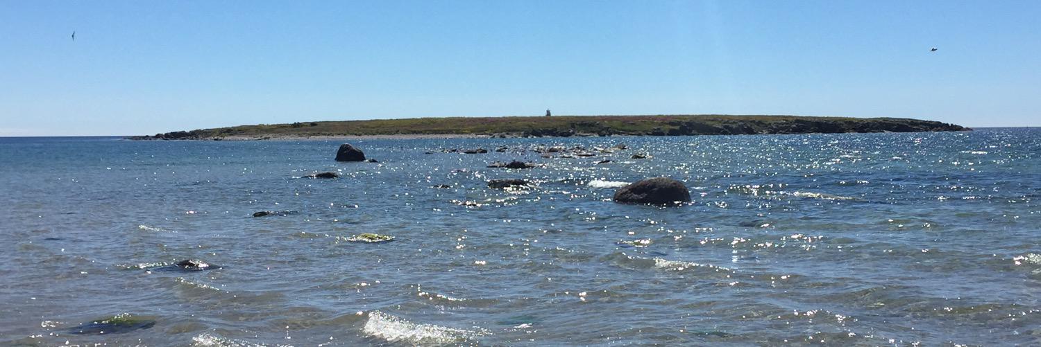 Ola Pettersson banner