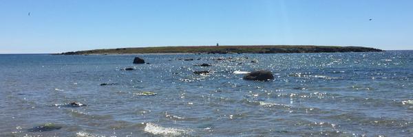 olapet Profile Banner