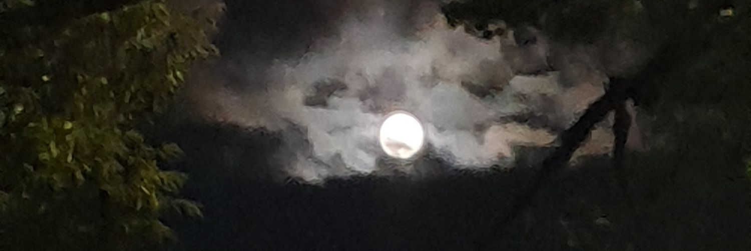 qjemf5's profile banner image