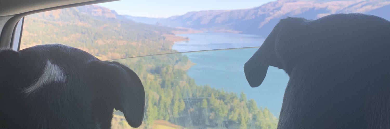 katiesleb's profile banner image