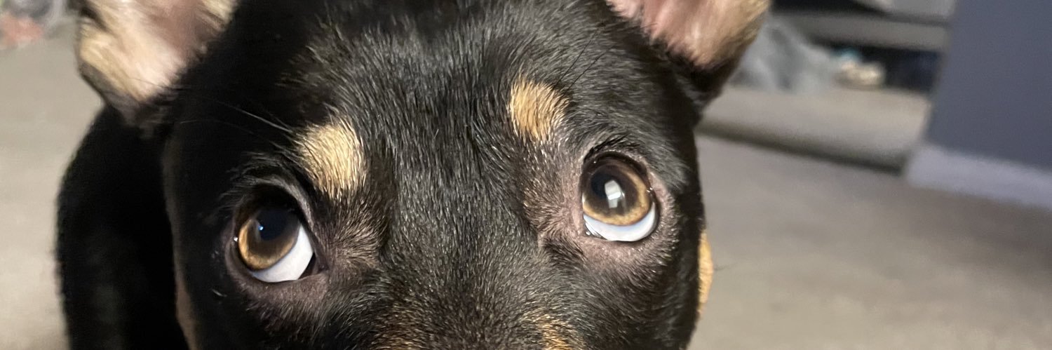 LowSmoov's profile banner image