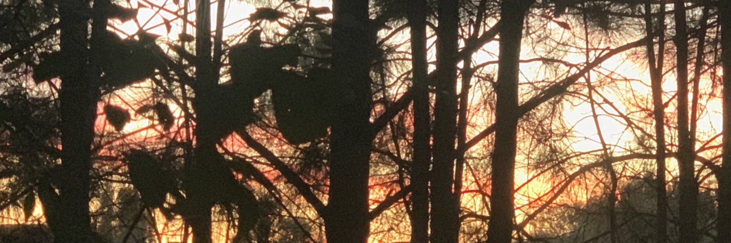 neilfrazier's profile banner image