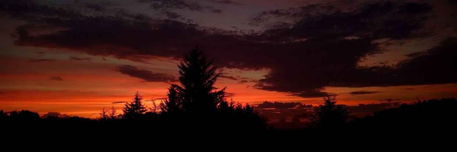 AHilfiker's profile banner image