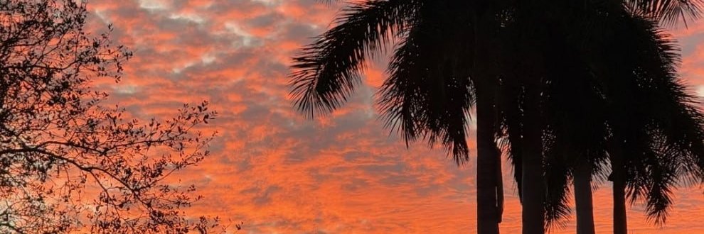 27_Cole's profile banner image