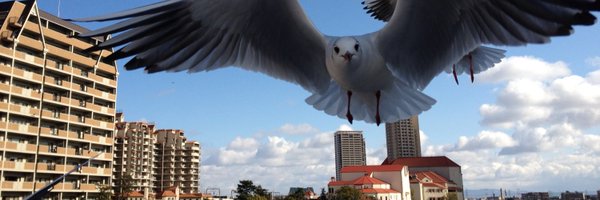 nanasess Profile Banner