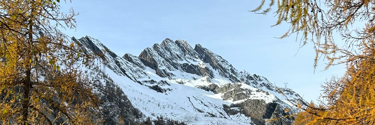 CuringaBH's profile banner image